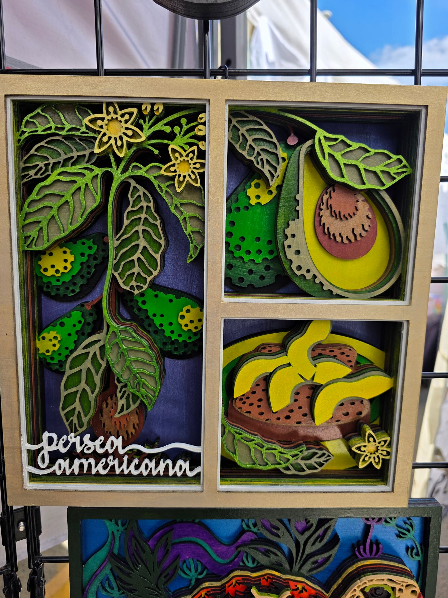 Scientific Name Avocado Mandala
